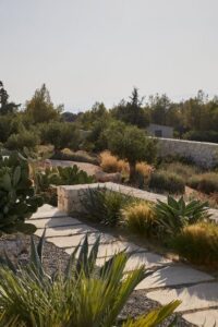 Φυτώριο Επανομή Θεσσαλονίκης Φύτρον Πετσαγγουράκη και ΣΙΑ ΟΕ 7 Φυτώριο Επανομή, ανθοκομικά Επανομή Θεσσαλονίκης, δενδροκομικά Επανομή Θεσσαλονίκης, φυτά Επανομή Θεσσαλονίκης, καλλωπιστικοί θάμνοι Επανομή Θεσσαλονίκης, αρωματικά
