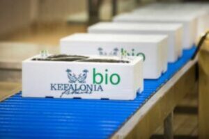 ichtiotrofeio kefalonia kefalonia fisheries 2 ilektronikoskatalogos gr