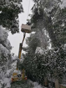 Καλαθοφόρα μηχανήματα Καισαριανή, ανυψωτικά μηχανήματα Καισαριανή, κλάδεμα δέντρων Καισαριανή, στολισμός κτηρίων Καισαριανή, ελαιοχρωματισμοί κτηρίων Καισαριανή, τοποθέτηση γιγαντοαφισών Καισαριανή, Αντωνένας