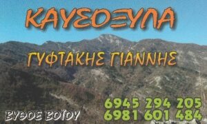 Καυσόξυλα Νεάπολη Κοζάνης, δασικά προϊόντα Νεάπολη Κοζάνης, ξύλα καστανιάς Νεάπολη Κοζάνης, ζωοτροφές Νεάπολη Κοζάνης, ξύλα οξιάς Νεάπολη Κοζάνης, ξύλα δρυς Νεάπολη Κοζάνης, πουρνάρι Νεάπολη Κοζάνης, Γυφτάκης Ιωάννης