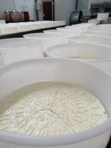 Τυροκομικά προϊόντα Σίμιζα Ηλείας, τυροκομείο Σίμιζα Ηλείας, ξηρή μυζήθρα Σίμιζα Ηλείας, φέτα Π.Ο.Π. Σίμιζα Ηλείας, φέτα Σίμιζα Ηλείας, ζωοτροφές Σίμιζα Ηλείας, ΑΦΟΙ Κολοτούρου